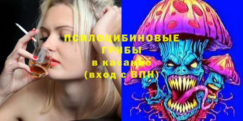 Галлюциногенные грибы Cubensis  Севастополь 